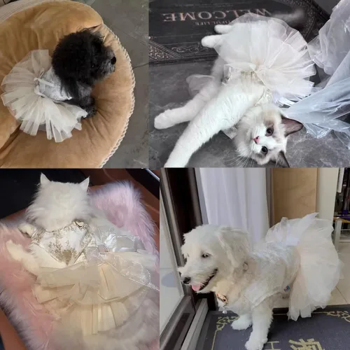 Vista 41 de ANIAC Daisy Vestidos para Perros Pequeños Hembra con Anillo para Correa, Nudo de Lazo Vestido de Boda para Cachorra, Traje de Gato de San Valentín