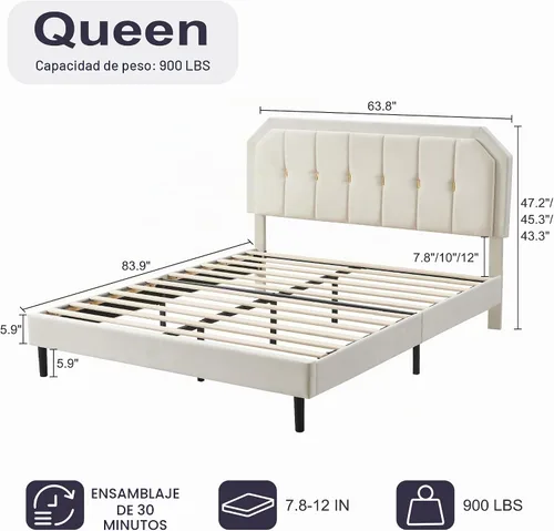 Vista 2 de Furnify Base de cama tamaño Queen, plataforma tapizada de terciopelo con ribete dorado, cama de estilo moderno con cabecera ajustable, no necesita