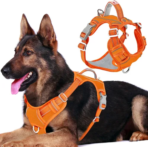 Vista 61 de BARKBAY Arnés Oxford sin tirones para perro con bolsillo para etiqueta de identificación, resistente, reflectante, fácil control para perros grandes