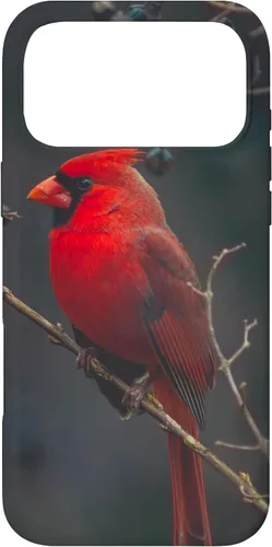 Vista 22 de Funda para iPhone 16 Cardinal Bird