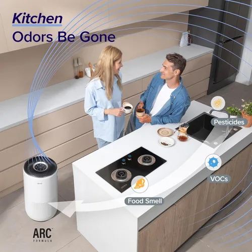 Vista 6 de LEVOIT Purificadores de aire inteligentes para el hogar habitación grande