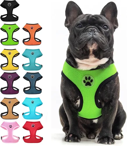 Vista 20 de BINGPET Arnés para perro sin tirones, arnés de chaleco tipo step-in de malla para todo clima para perros pequeños, arnés de malla transpirable