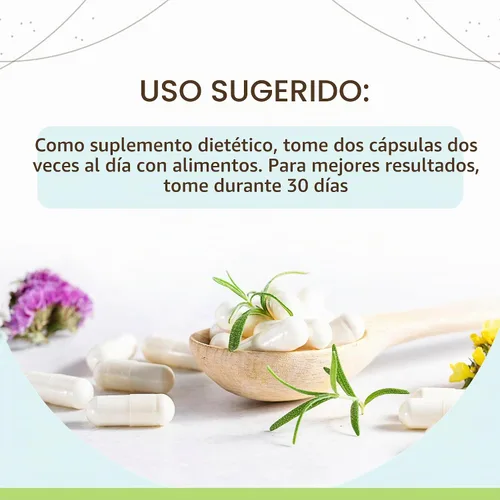 Vista 2 de HerbEra - Cápsulas veganas de ajenjo - Soporte digestivo y hepático, hierba seca de artemisia absinthium, cápsulas amargas, suplemento de hierbas