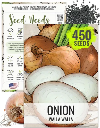Vista 17 de Seed Needs Semillas de cebolla roja borgoña para plantar reliquia y sin OMG, 1 paquete