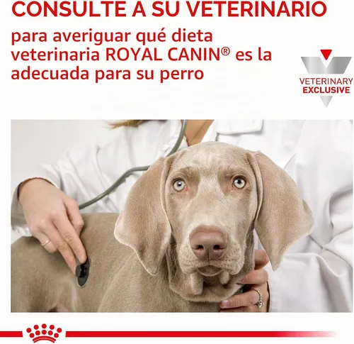 Vista 10 de Royal Canin Veterinary Diet Canine Urinary SO Alimento seco para perros adultos, bolsa de 6.6 libras