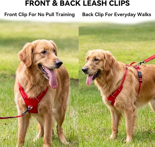 Vista 4 de Arnés para perro sin tirones, chaleco ajustable con clips de correa de metal delanteros y traseros, reflectante para paseos nocturnos seguros