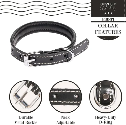 Vista 5 de Filbert Collar de cuero para perro, collar de cuero genuino para perros pequeños, acolchado de lujo, fuerte, ajustable para todas las razas, hebilla