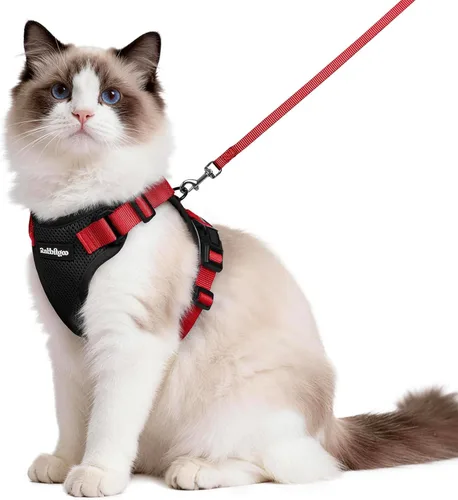 Vista 48 de rabbitgoo Cat Harness and Leash Set, Escape Proof Vest, XXS, Berry Pounce Soft Breathable Mesh, No-choke Adjustable Fit, Snap Buckles, Sturdy
