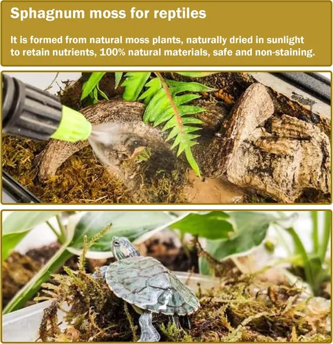 Vista 6 de Hourleey Musgo de esfagnum para plantas, maceta de musgo seco de fibra larga natural de alta calidad, musgo de turba esfagnum a granel