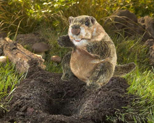 Vista 2 de Folkmanis, Marmota de marionetas