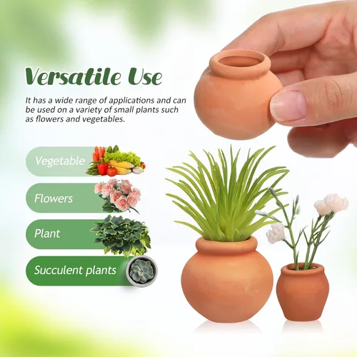 Vista 4 de Toddmomy Juego de 6 macetas de terracota para suculentas, pequeñas macetas de arcilla para plantas de jardinería en interiores y exteriores, plantas