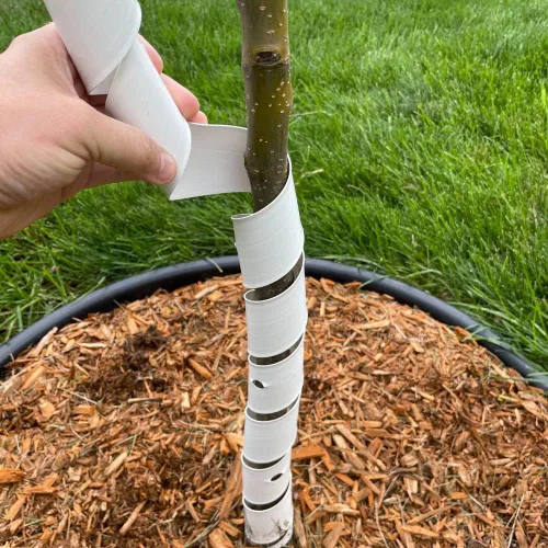 Vista 3 de Master Mark Envoltura de plástico para árboles, protector de tronco de árbol, paquete de 2 protectores en espiral