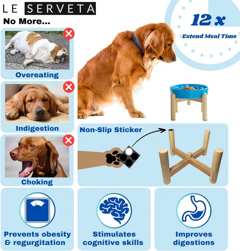 Vista 4 de Cuenco elevado de cerámica para perros con soporte de madera Azul