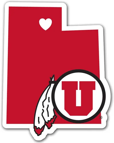 Vista 21 de AGANS NCAA unisex Home State Decal