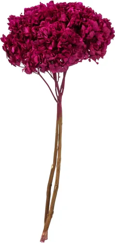 Vista 11 de Vickerman Hortensias de musgo antiguo de 15 pulgadas con múltiples segmentos de rama. Conservada