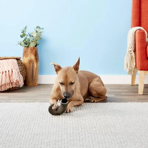 Vista 2 de QT Dog Cuerno de búfalo de agua grande – Masticable para perros 100% natural de larga duración, lleno de proteínas de origen ético y masticables