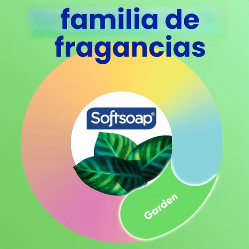 Vista 3 de Softsoap Jabón corporal de eucalipto y menta, gel de baño hidratante, 20 onzas, (paquete de 4)