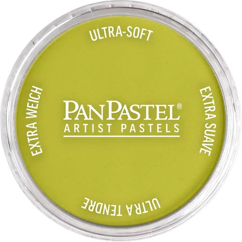 Vista 11 de PanPastel Pastel ultra suave para artista, sombra de Siena quemada