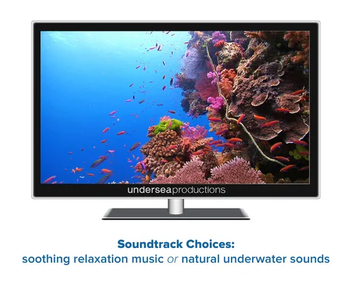 Vista 6 de Reefscapes Nature's Aquarium