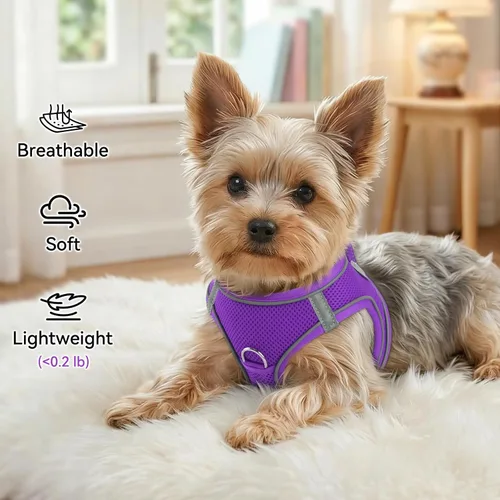 Vista 45 de Joytale Arnés para Perros Pequeños, Chaleco de Malla Transpirable Step-in, Arneses Acolchados Suaves Reflectantes para Gatos y Perros Cachorros