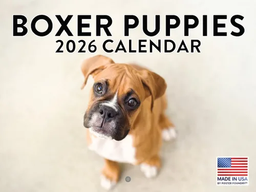Vista 154 de Calendario mensual de pared Airedale Terrier Dog 2027 rojo (Airedale Terrier)