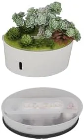 Vista 7 de Humidificador de plantas de simulación, 6.8 fl oz de aire silencioso humidificador de apagado automático, mini humidificador portátil