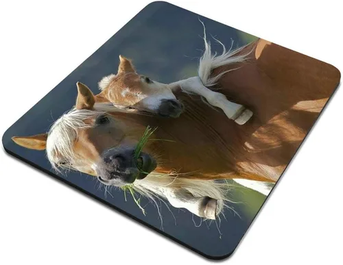 Vista 3 de Alfombrilla de mouse personalizada con caballo con potro, alfombrilla de mouse de goma antideslizante rectangular personalizada para juegos Am03