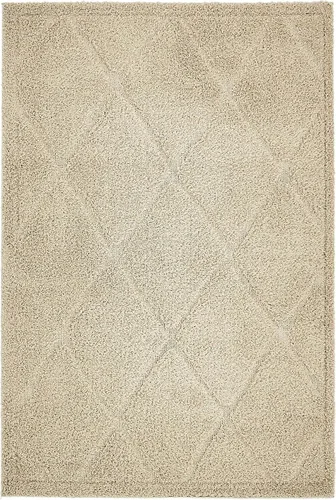 Vista 3 de T-TSHG