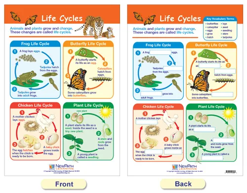 Vista 4 de NewPath Learning -94-1501 All About Animals - Juego de tablones de anuncios (paquete de 5)