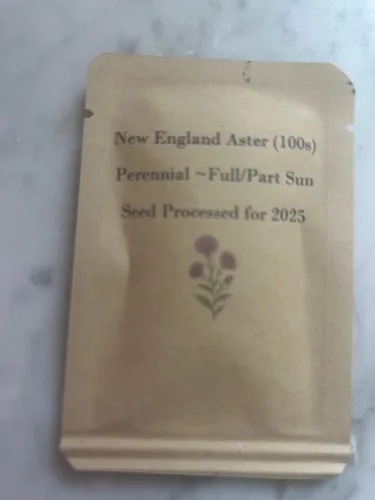 Vista 4 de New England Aster Seeds - Alrededor de 100 semillas