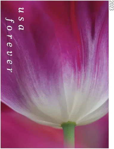 Vista 8 de USPS 2023 Tulip Blossom Forever - Sellos postales de primera clase (20 unidades)