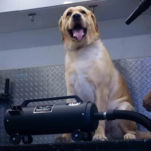 Vista 4 de METROVAC MB-3 Air Force Blaster - Secador de mascotas, soplador profesional, limpiador eficiente, motores de ventilador doble de 4.0 HP de 120 V