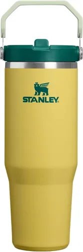 Vista 113 de STANLEY IceFlow 2.0 - Vaso con pajilla abatible con asa, 30 onzas, tapa giratoria y popote abatible, botella de agua a prueba de fugas, acero Tiza