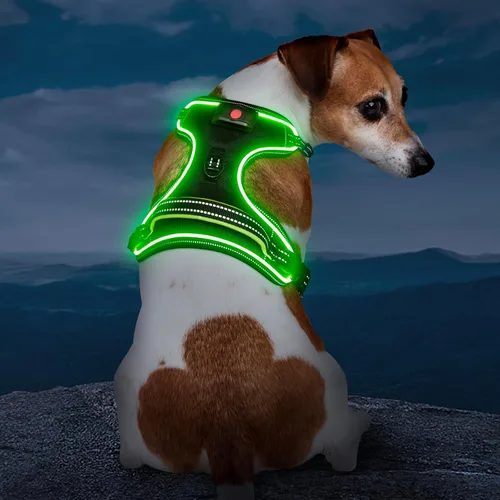Vista 8 de Arnés para perro iluminado con batería pequeño