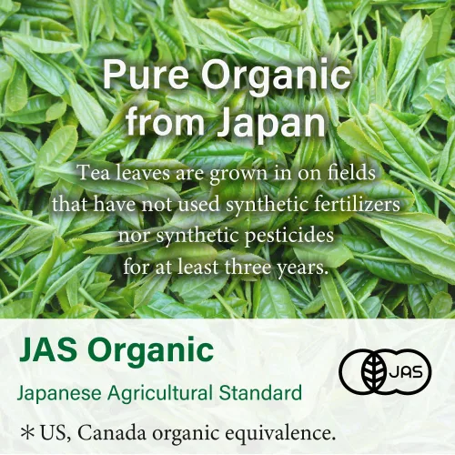 Vista 3 de Polvo de té verde matcha ceremonial orgánico de Kagoshima JAPÓN Té japonés KIMIKURA Matcha KIMIKURA