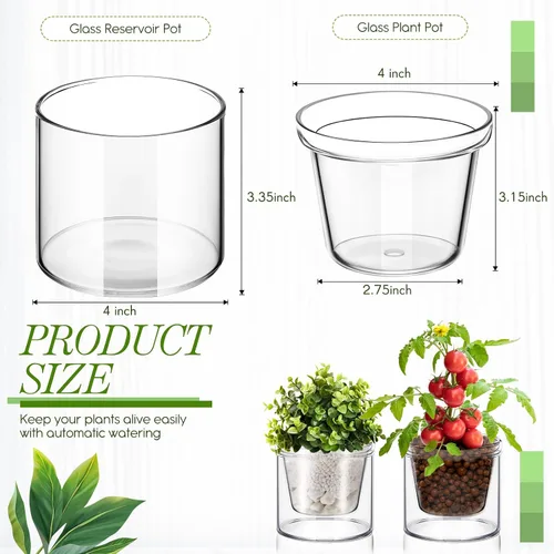Vista 2 de 2 Piezas Macetas de Autoriego de 4 Pulgadas para Plantas de Interior Maceta de Vidrio Transparente Maceta Pequeña para Plantas con Platillo Depósito