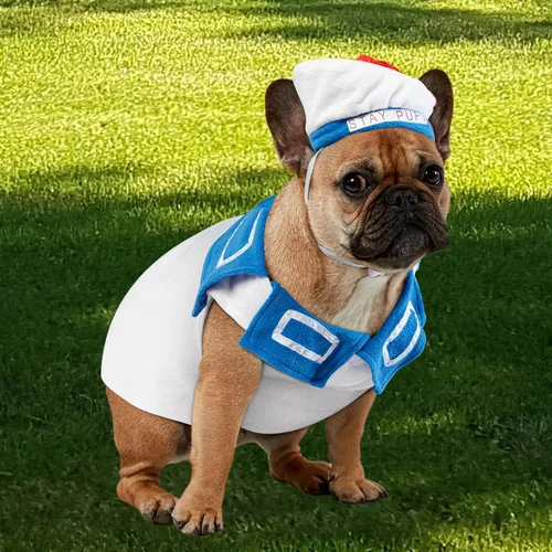 Vista 5 de Disfraz para mascota de la colección de películas de Cazafantasmas, de Rubies Costume, M, Blanco