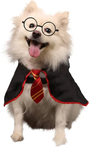 Vista 4 de Disfraz Coomour de bruja, para perro, gato, cachorro, ropa para perros pequeños, medianos, grandes, camisa con gafas