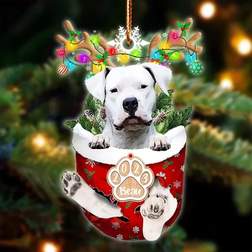Vista 45 de NAZENTI Adorno Navideño de Bolsillo Personalizado de Affenpinscher en la Nieve, Adorno de Forma Acrílica de Perro, Adorno de Navidad 2023, Adorno