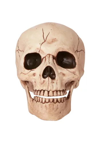 Vista 2 de Calavera con mandíbula móvil Multicolor