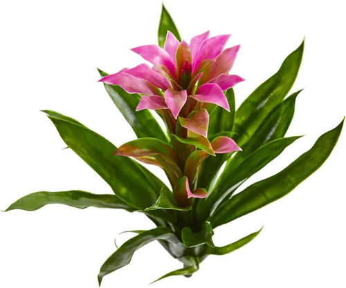 Vista 2 de Nearly Natural Flor artificial de bromelia de 15 pulgadas (juego de 4)