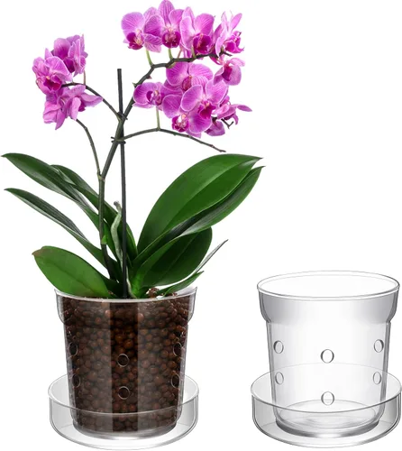 Vista 10 de Baderke Maceta de orquídeas con orificios de drenaje y bandeja de vidrio transparente para orquídeas, trasplante de flores, jarrón de vidrio