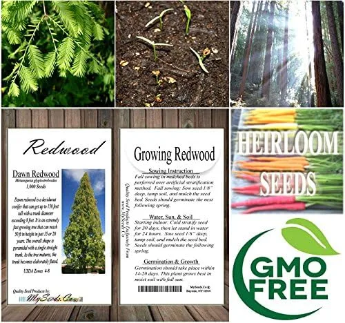 Vista 9 de Big Pack by MySeeds.Co