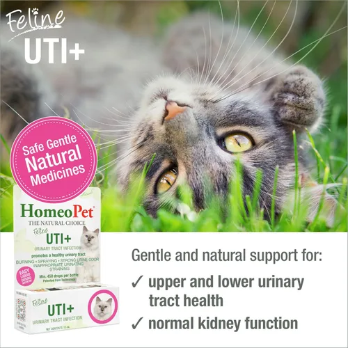Vista 2 de Homeopet UTI Plus para infecciones urinarias para gatos, 0.5 oz