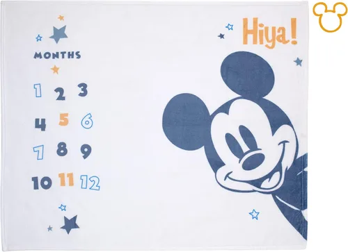 Vista 12 de Disney Classic Winnie The Pooh, manta de bebé súper suave color blanco, gris y lima, blanco, gris, lima, carbón