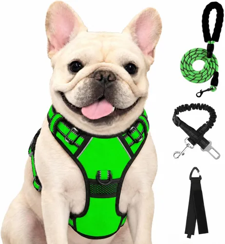 Vista 29 de FURRYFECTION - Arnés para perro a cuadros con correa y cinturón de Rosa