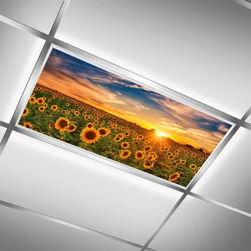 Vista 10 de Cubiertas de luz fluorescente para luces de techo de aula – Película retroiluminada de 2x4 pies para luminarias fluorescentes, fácil de instalar