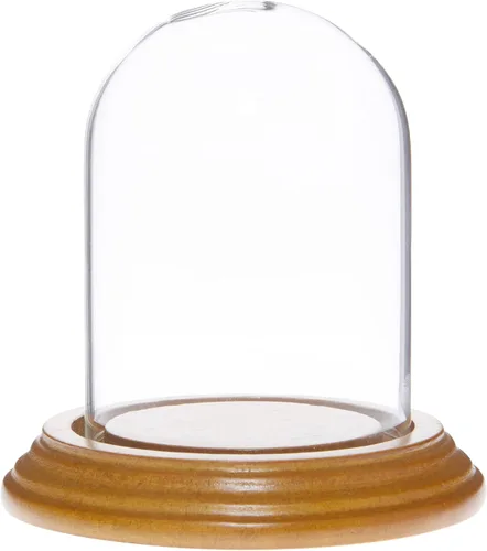 Vista 5 de Plymor Cúpula de cristal pequeña de 2.5 x 3.5 pulgadas (base de chapa de madera negra)