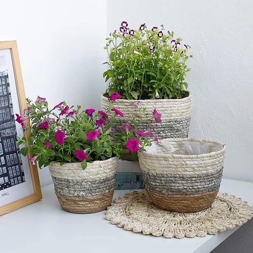 Vista 2 de Macetas de hierba marina, macetas para plantas de interior, macetas con cubierta de macetas, contenedores de plantas, macetas rústicas con forros