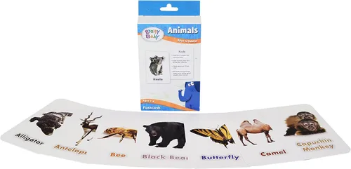 Vista 9 de Brainy Baby Juego de 2 tarjetas de animal, formas y colores, edición de lujo, 2